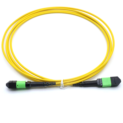 Weibliches MPO-Stammkabel 12 Fasern Typ A Multimode MM OM3/OM4 MPO Patch Cord LSZH 50/125